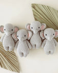 Baby Elephant