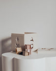 Original Shape Sorting Box