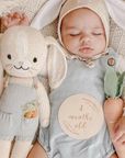 Henry The Bunny
