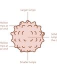 Lactamo Ball