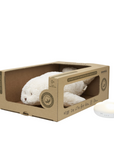 Polar Organic Seal Sleep Aid 2.0