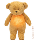 Honey Moonie Bear Sleep Aid