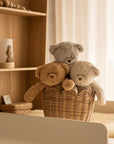 Sand Organic Moonie Bear Sleep Aid