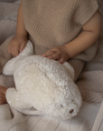 Polar Organic Seal Sleep Aid 2.0