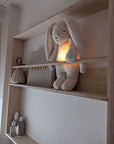 Sand Organic Bunny Sleep Aid 2.0